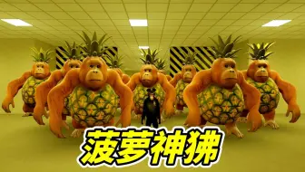 菠萝+狒狒=菠萝神狒