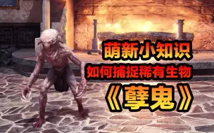 Download Video: 如何捕捉稀有生物《孽鬼》