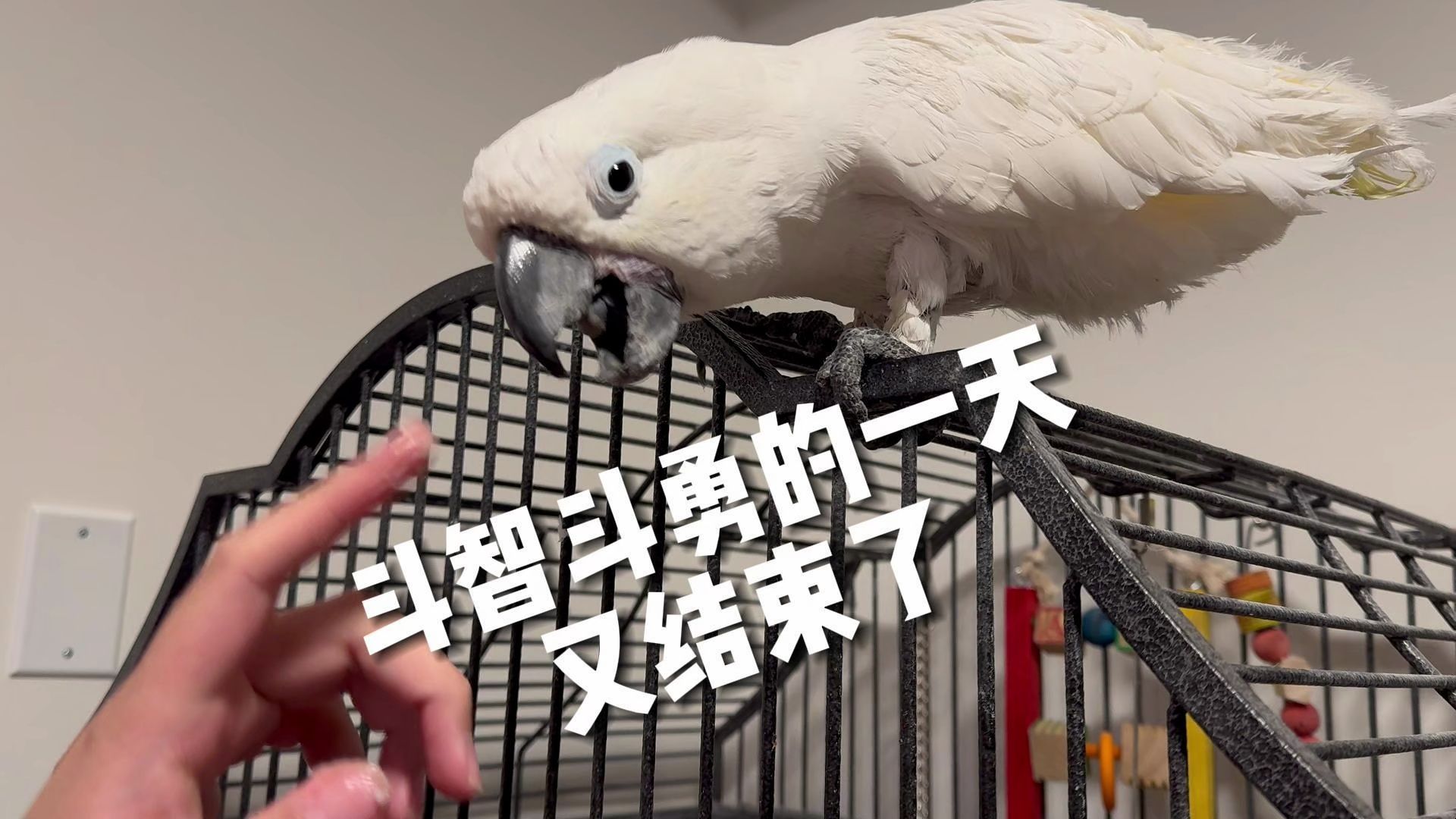 真好!我又多活了一天!