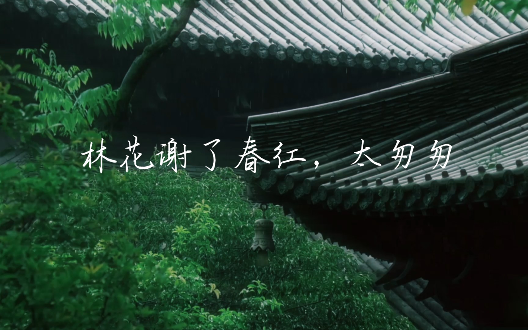 林花谢了春红,太匆匆.