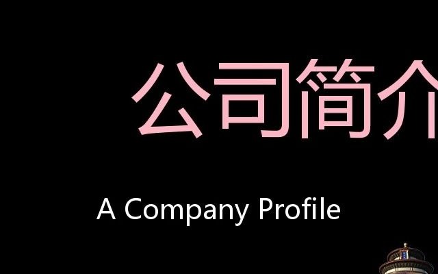 公司简介 Chinese Pronunciation A company profile哔哩哔哩bilibili