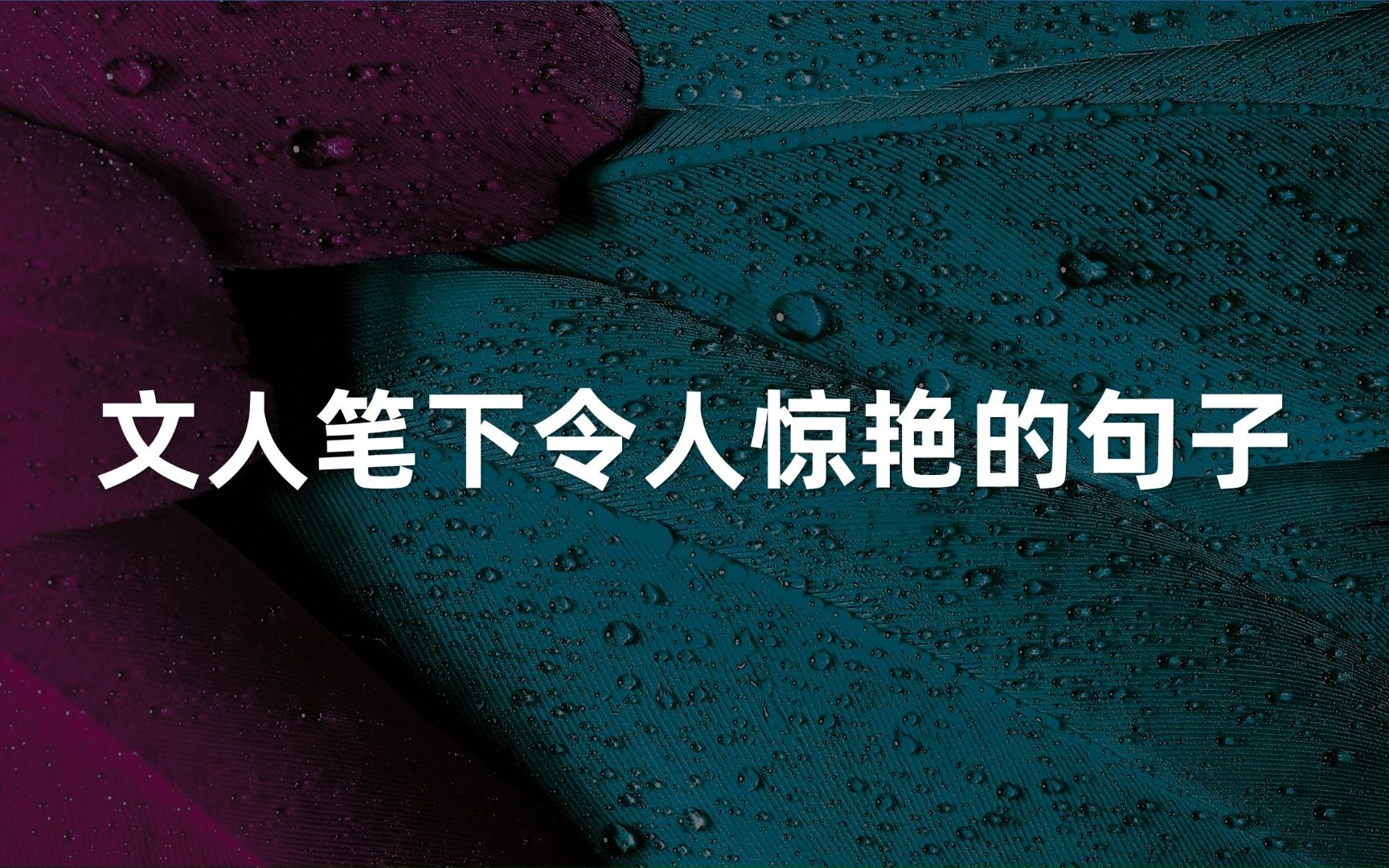 “且视他人之疑目如盏盏鬼火,大胆地去走自己的路.”文人笔下令人惊艳的句子哔哩哔哩bilibili