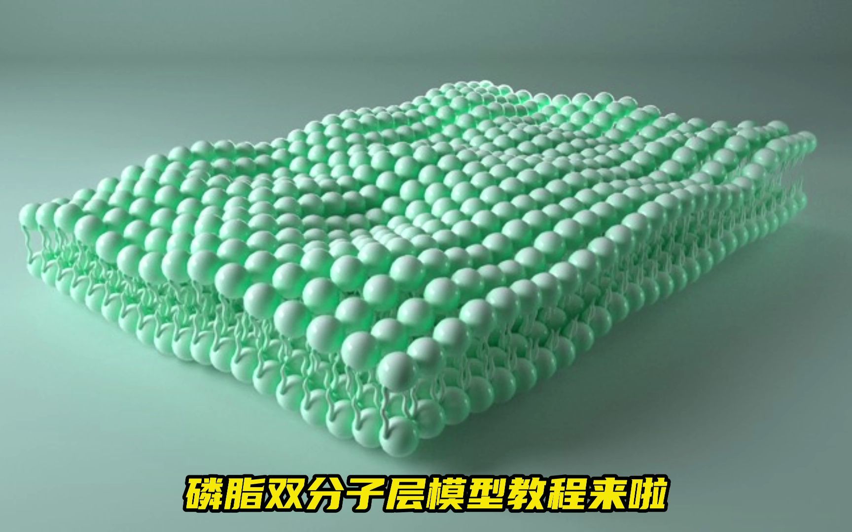 1分钟C4D磷脂双分子层模型制作教程,0基础跟着视频也能搞定!哔哩哔哩bilibili