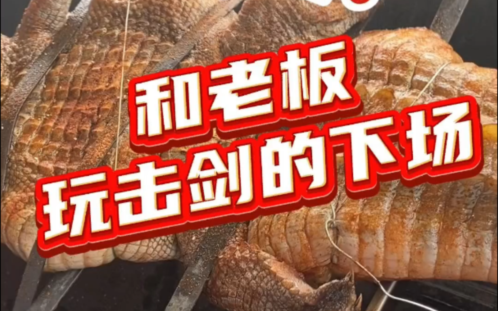 击剑的下场就是鳄鱼池的鳄鱼越来少,胆子越来越小 #鳄珍 #鳄珍鳄鱼酒