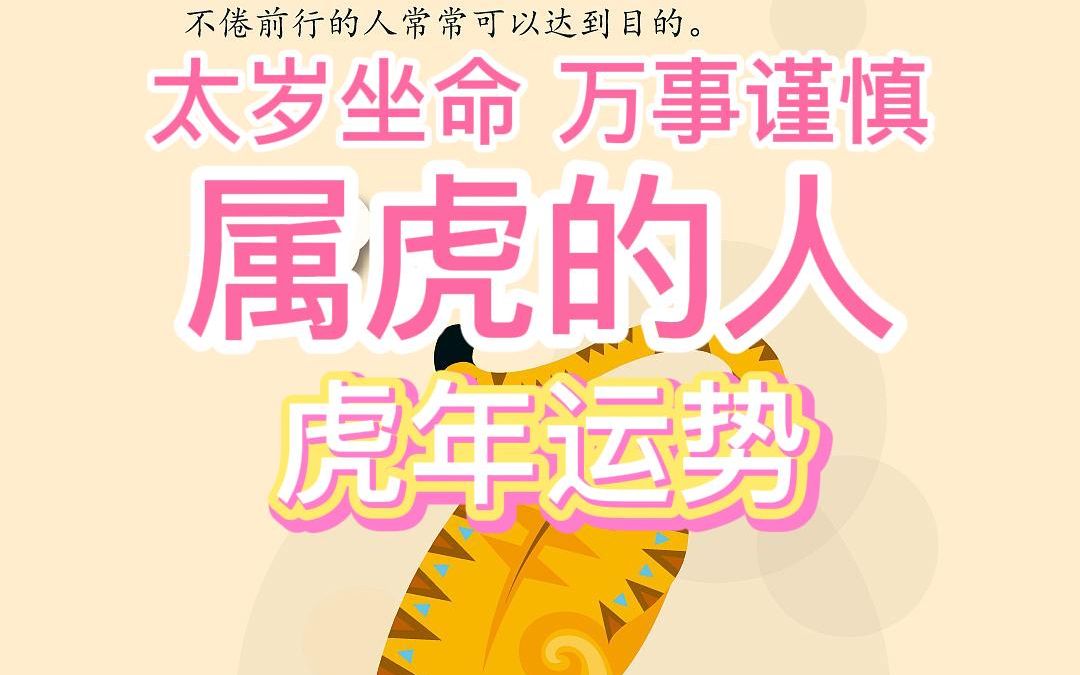 12生肖之属虎今年运势哔哩哔哩bilibili