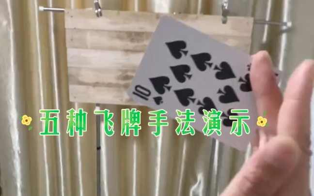 飞牌五种手法演示哔哩哔哩bilibili