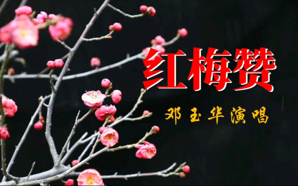 红梅赞·邓玉华演唱