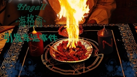 蜜香蜂蜡 纯天然蜂巢提炼的蜂蜡 搭配蜂蜜制作的蜡烛 哔哩哔哩 つロ干杯 Bilibili