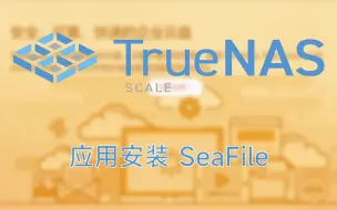 Download Video: TrueNAS SCALE 应用安装seafile并开启HTTPS