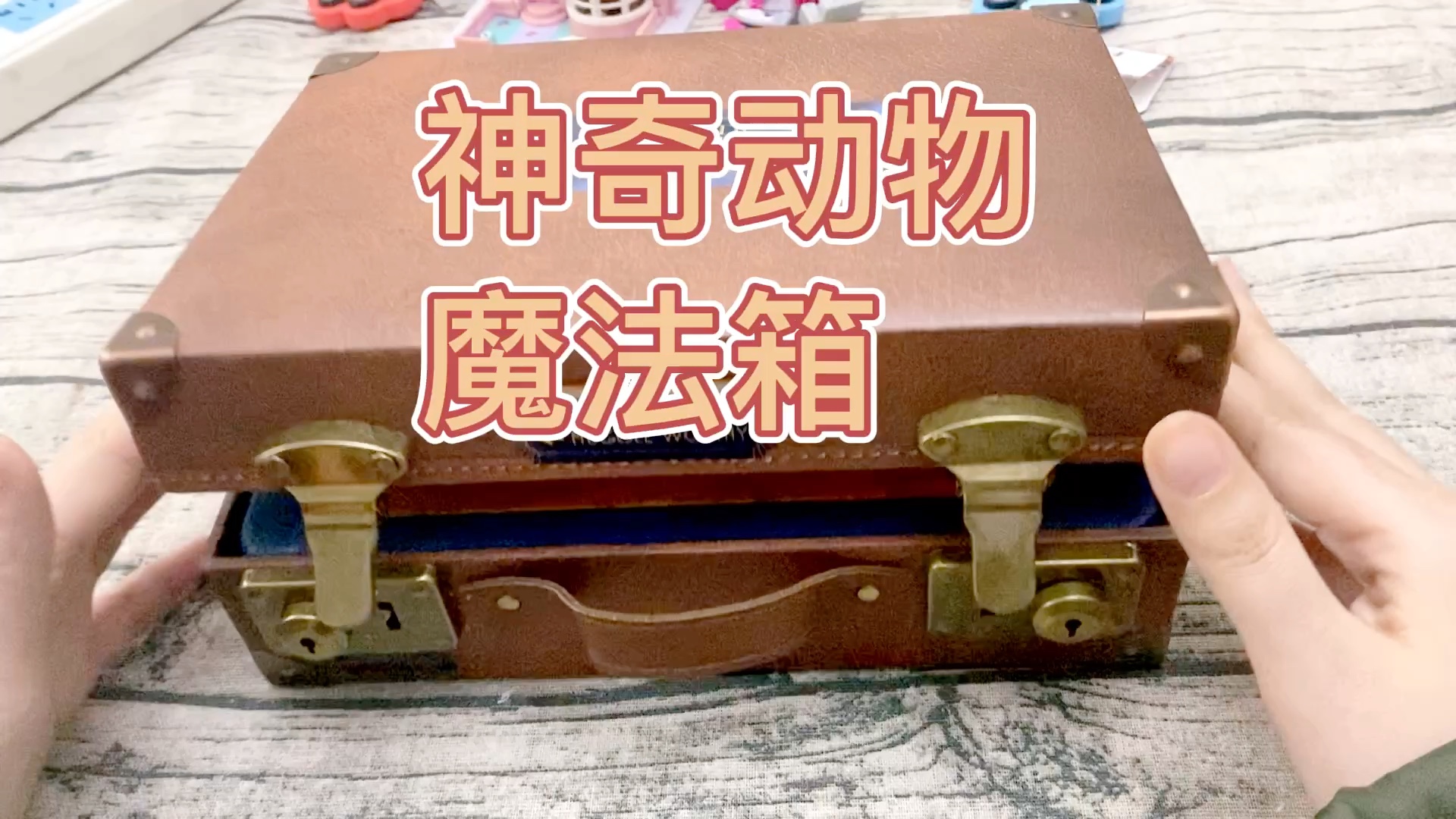 神奇动物在哪里周边 纽特的手提箱里竟然真有神奇动物?