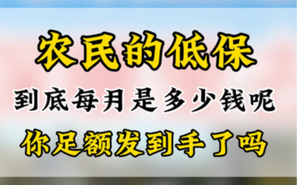 农民的低保每月是多少钱 你足额到手了吗哔哩哔哩bilibili