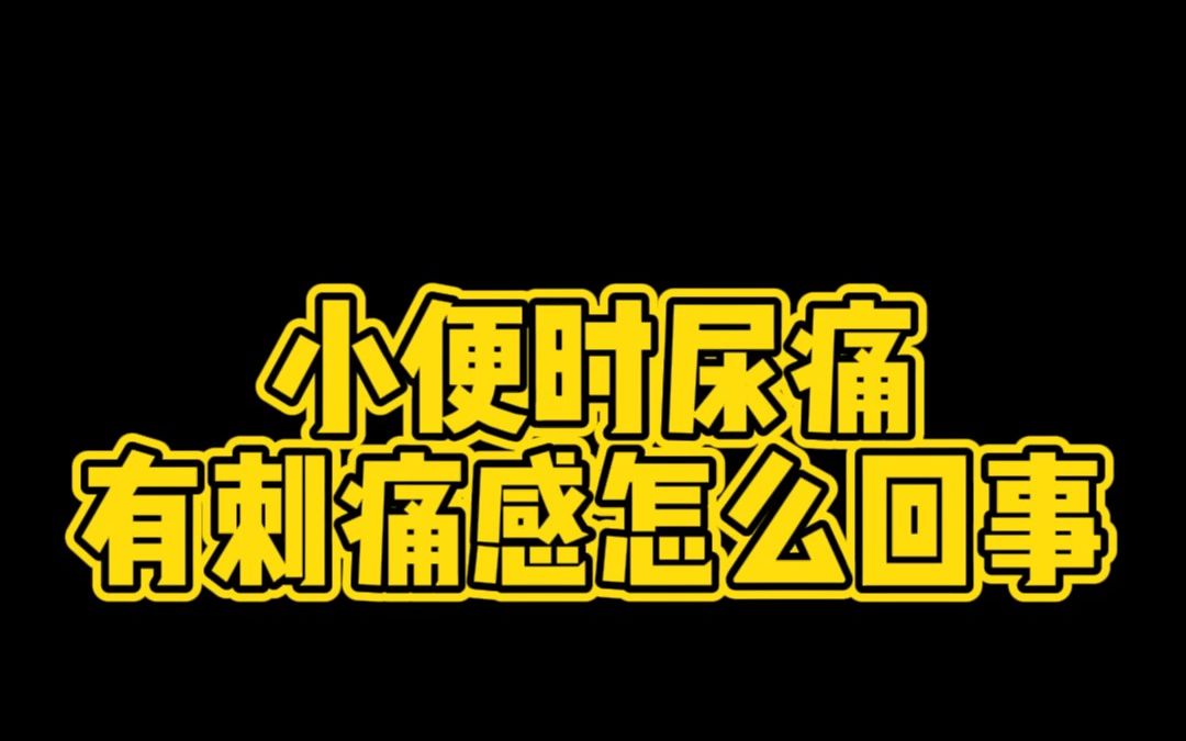 哈晓峰主任:小便时尿痛有刺痛感怎么回事哔哩哔哩bilibili