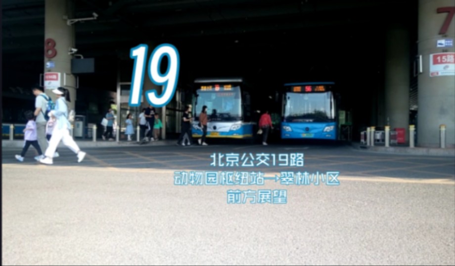 「白广翠林,荫下礼行」【北京公交pov】19路 动物园枢纽站→翠林小区