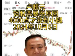 Скачать видео: 卢麒元：股票暴涨的原因。4000点才涨到小腿