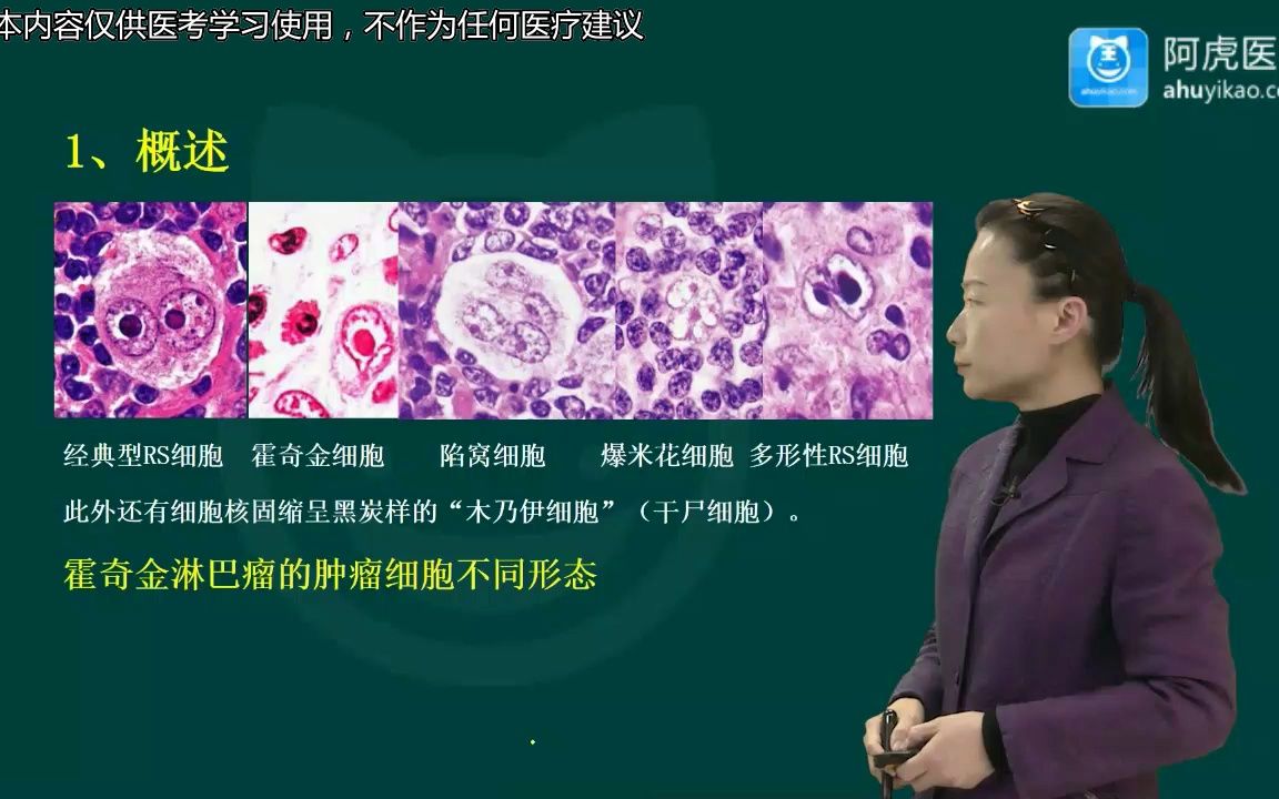 学副高主任医师高级职称考试视频(精讲课 题库)培训 霍奇金淋巴瘤01