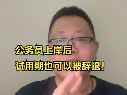 Download Video: 赶在35岁前上岸公务员，结果试用期被辞退了。