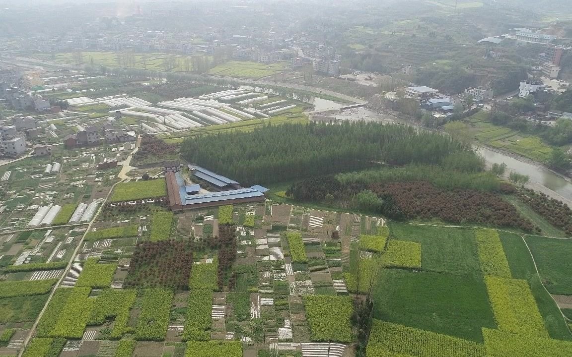 [图]2018年油菜花开的季节