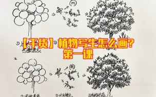 Download Video: 【干货】植物写生第一课！