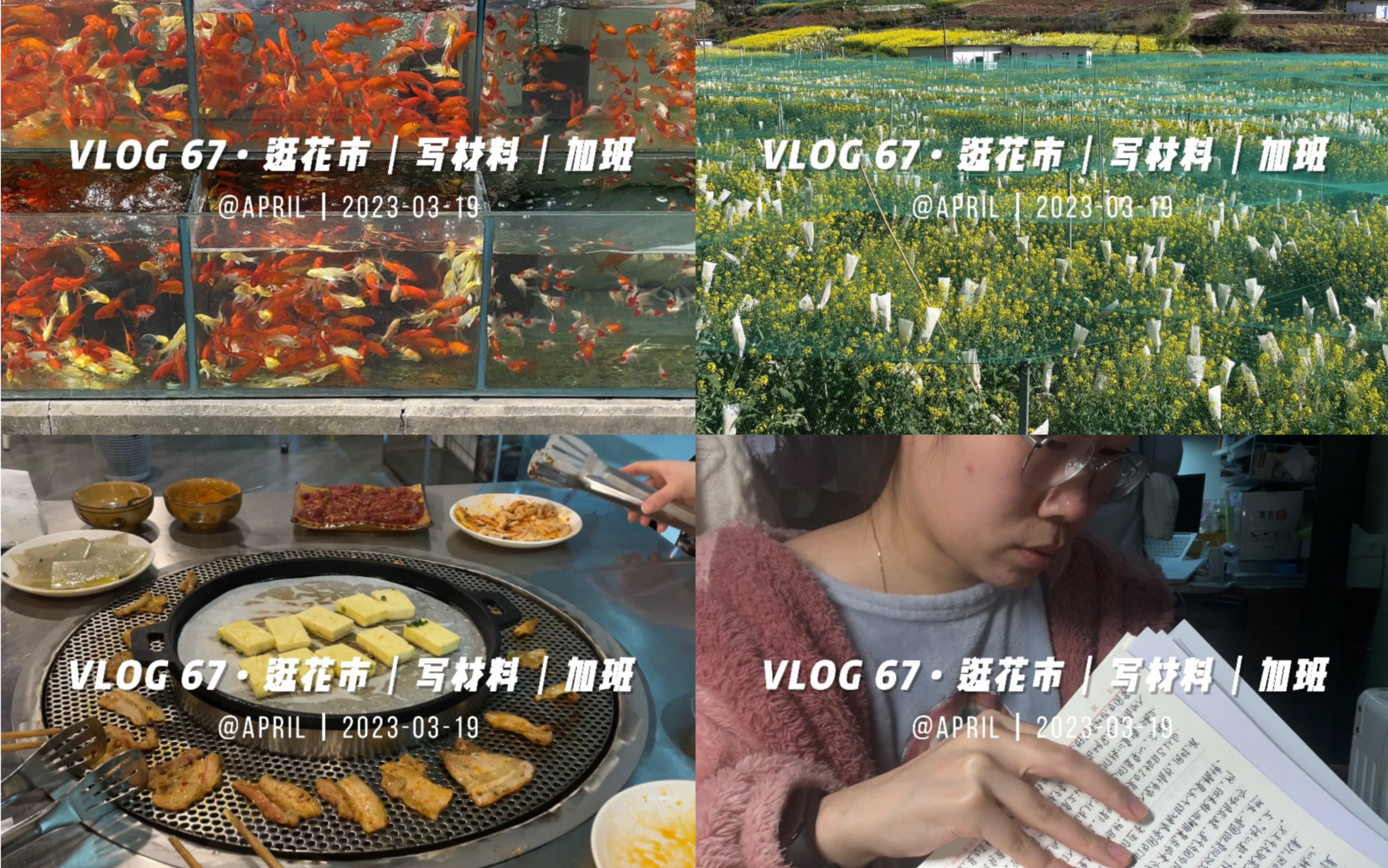 Vlog67ⷮŠ逛花市|写材料|加班哔哩哔哩bilibili