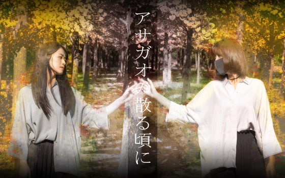 小雅和miyabi和ミヤビ的个人空间 哔哩哔哩 Bilibili