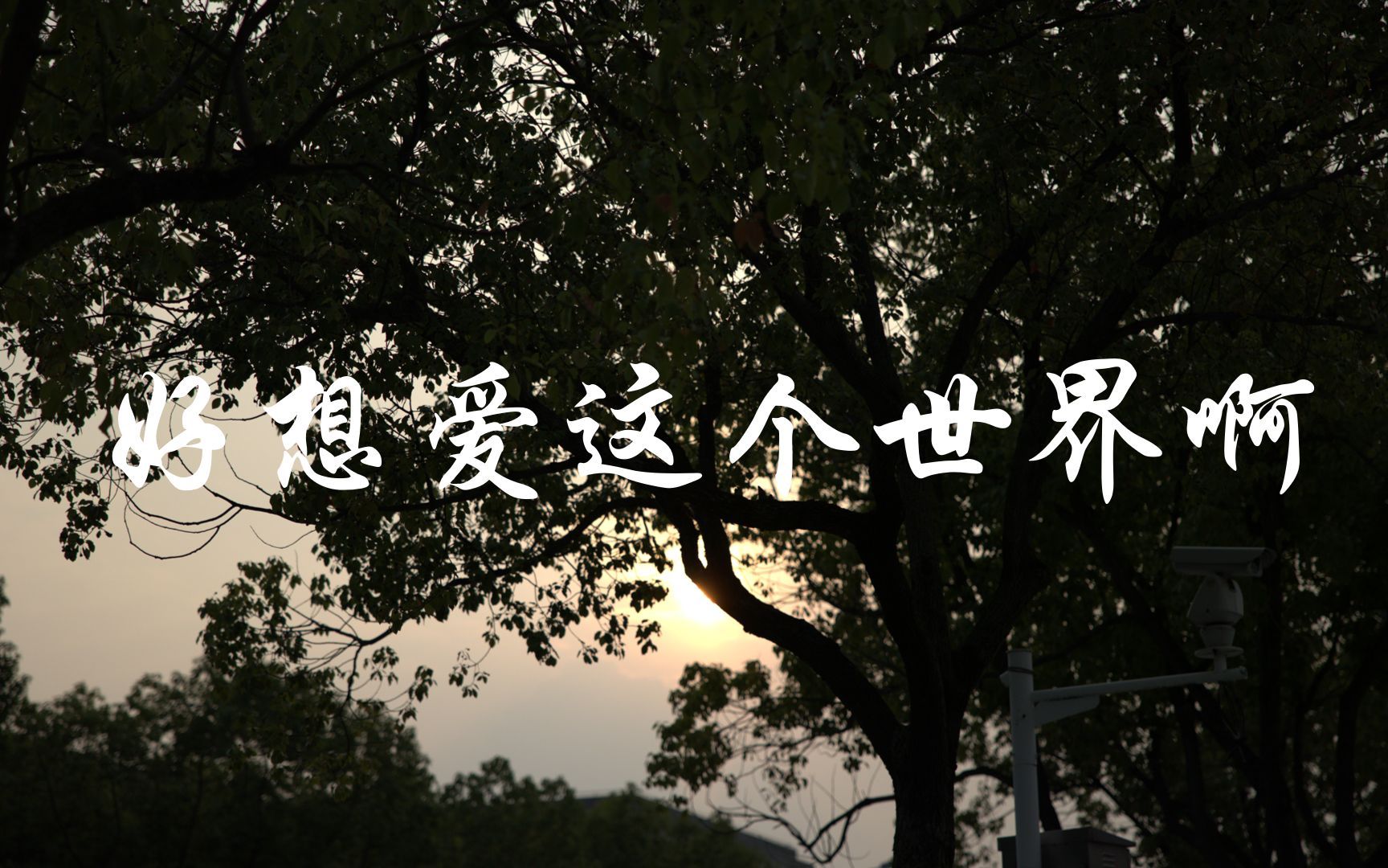 好想爱这个世界啊mv华晨宇上海外国语大学大一新生作品