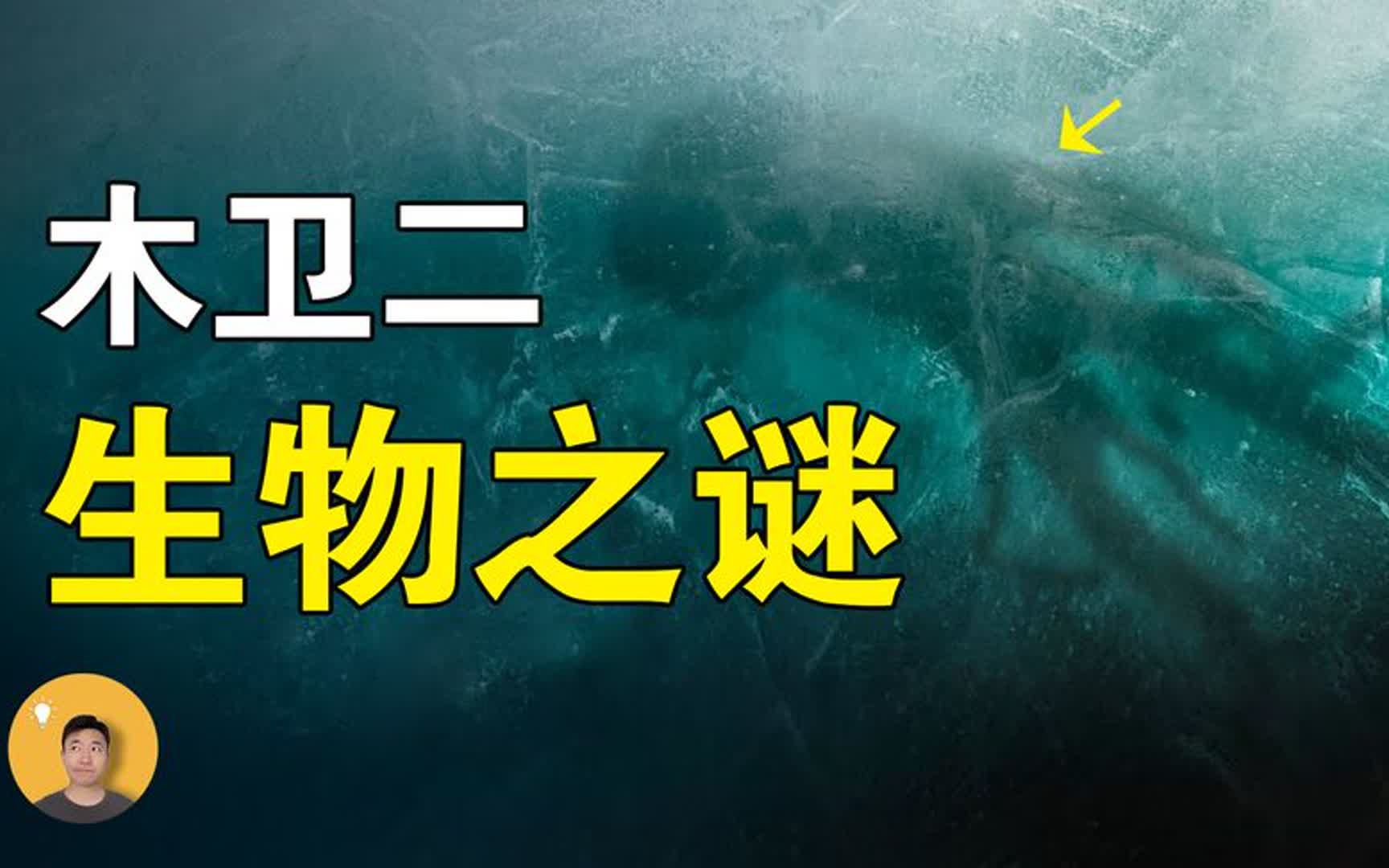 深度超过10万米,进入木卫二地下冰洋,会发现什么神奇物种?哔哩哔哩bilibili