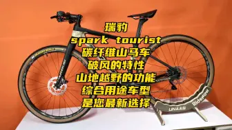 下载视频: 瑞豹spark tourist碳纤维山马车#瑞豹#瑞豹spark tourist