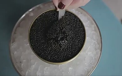 [图]Why Is Caviar So Expensive