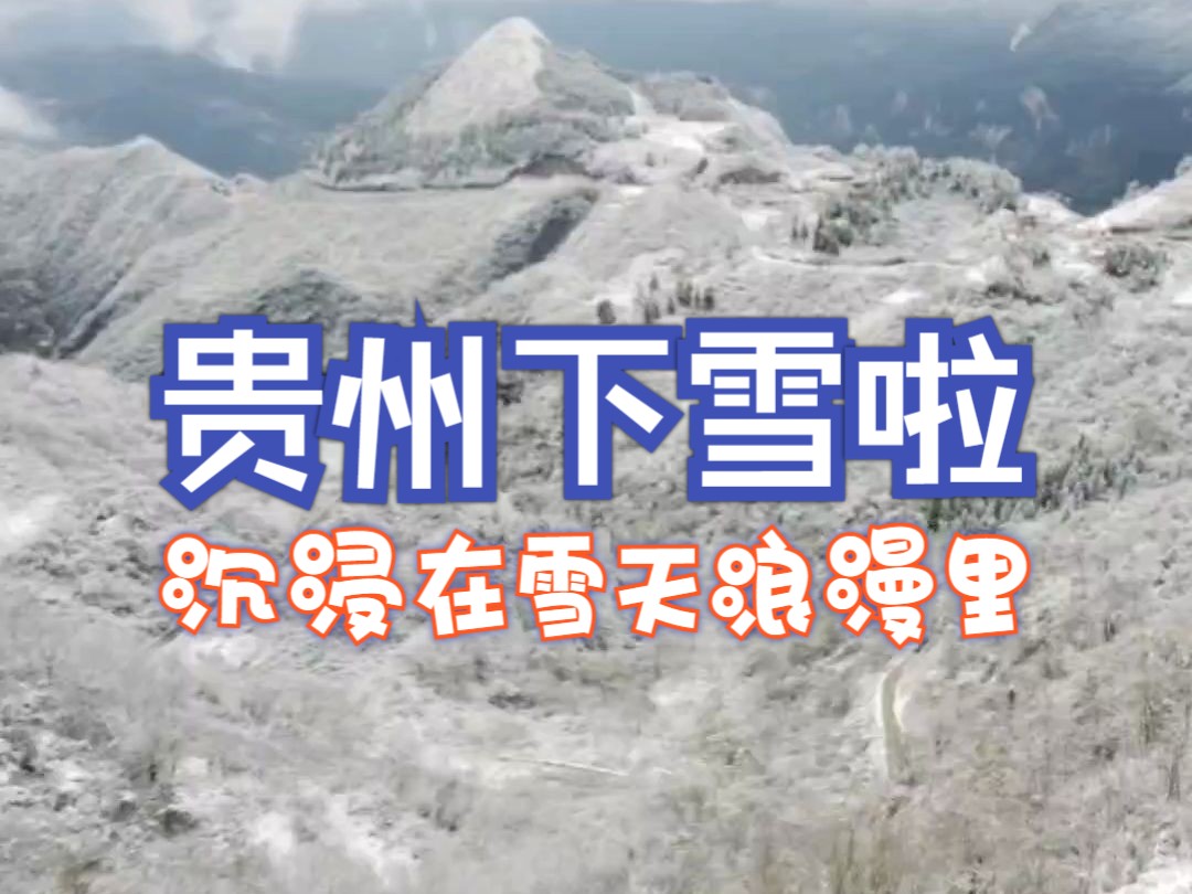 贵州下雪啦!雪真的来啦!沉浸在雪天浪漫里哔哩哔哩bilibili