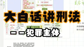 【大白话】讲刑法——犯罪主体（思维导图版//省考//公安专业知识//法律适用）