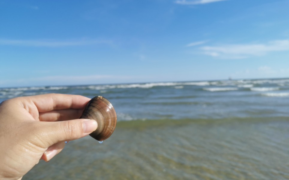 北海大墩海和三千海海滩,景色不输银滩,还少了银滩的喧嚣!哔哩哔哩bilibili