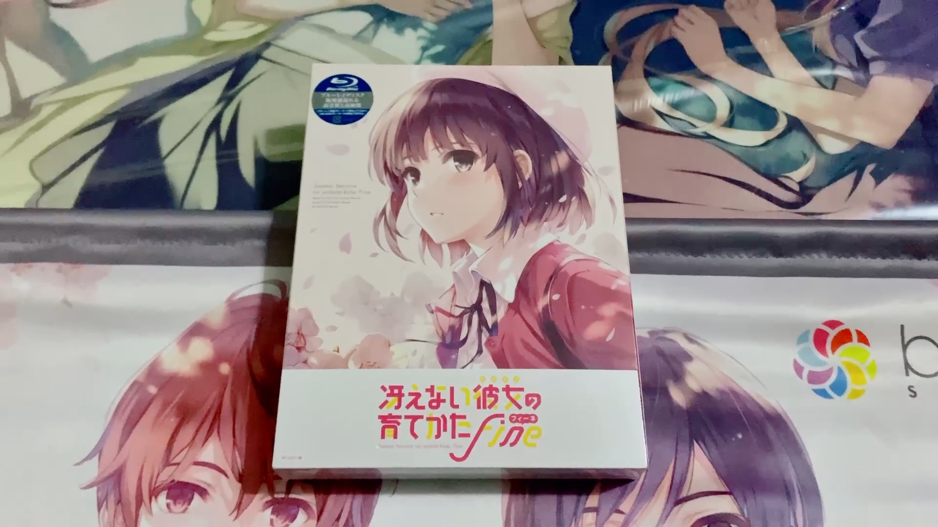 路人女主的养成方法fine剧场版bd及特典