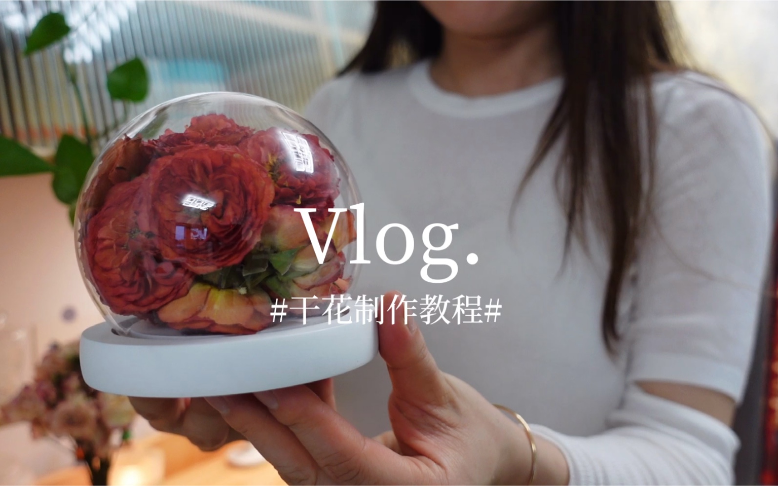 最美的永远不是初见惊艳,而是再见依然|单身Vlog|手工DIY|制作干花哔哩哔哩bilibili