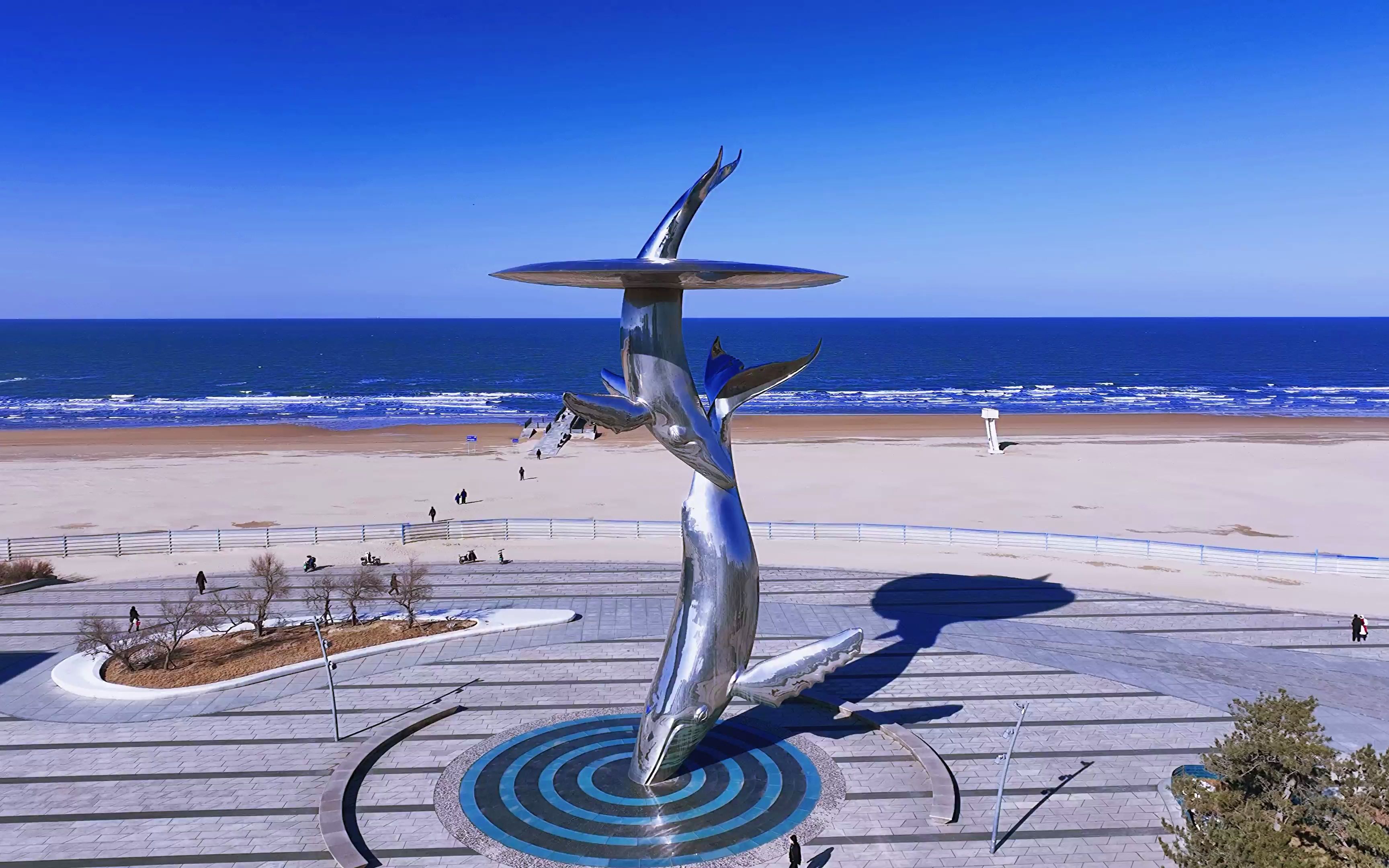 活动  开发区鲸鱼雕塑