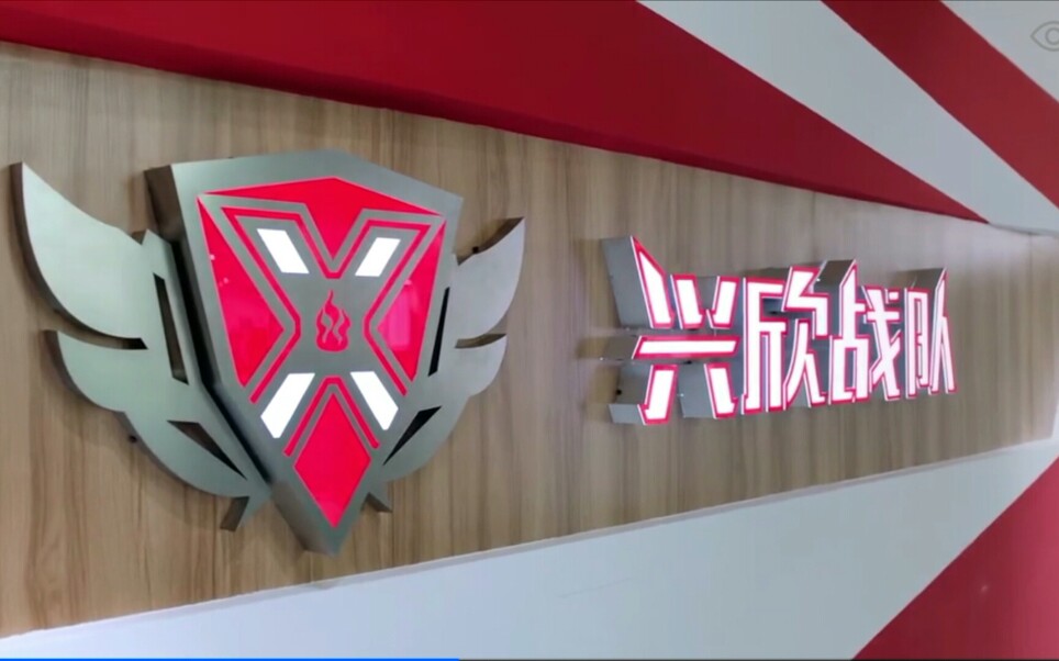 电视剧版《全职高手》―兴欣战队