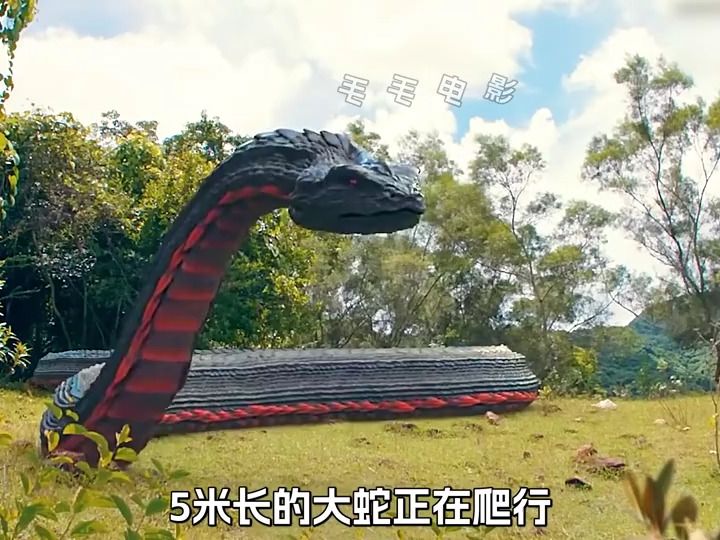 大蛇跟巨蜥打了起来,它们谁更厉害呢