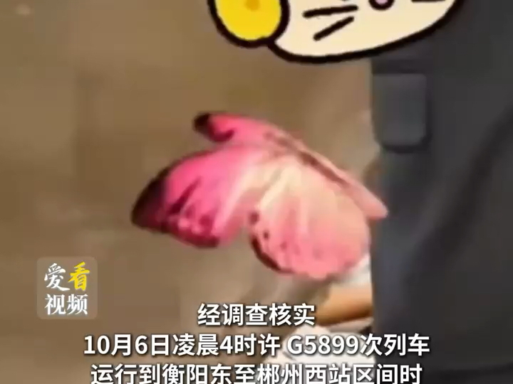 官方通报“男子在高铁座位脱裤排便”：已拘留