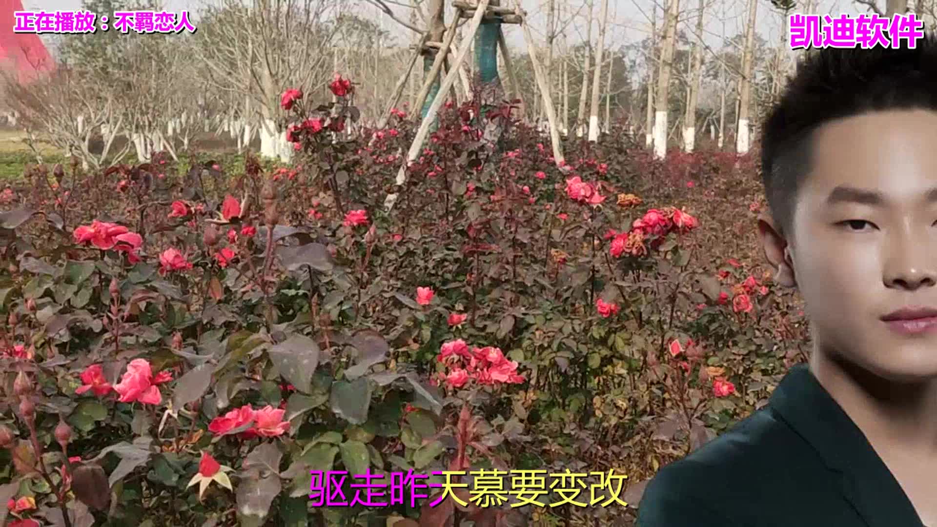 [图]经典音乐，一首《不羁恋人》经典老歌，瞬间打动你的心