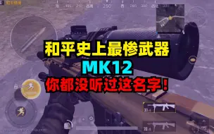 Tải video: 和平精英史上最惨武器：MK12，很多人都不知道有这枪！