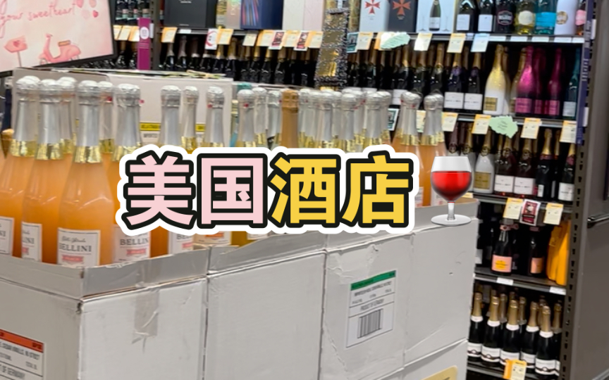 逛一逛美国酒店𐟍𗰟𗰟𗰟𛰟𛰟𛥓”哩哔哩bilibili