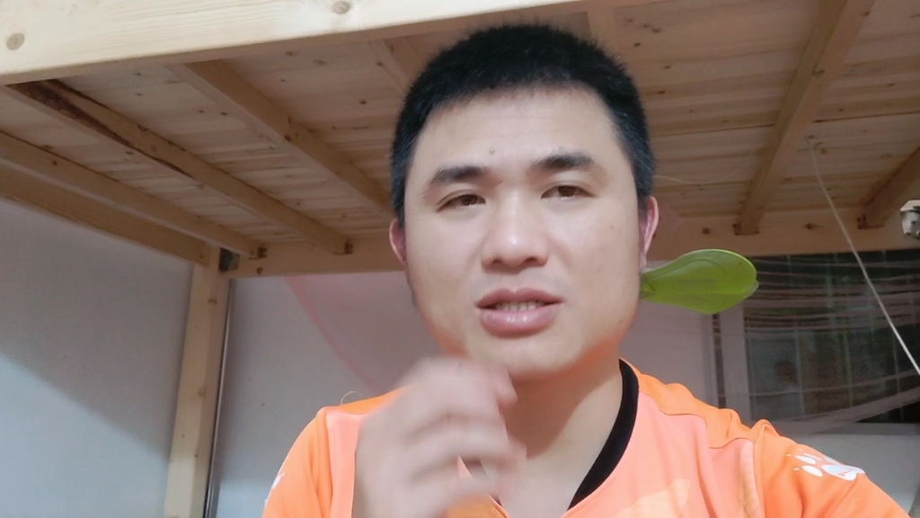 手机信息接收不了 发不了 按我这个方法可以解决