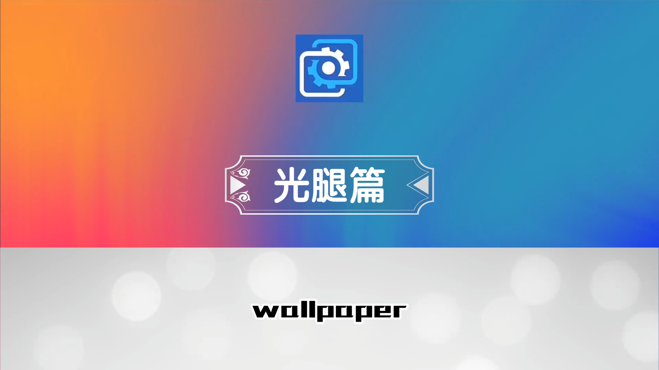 wallpaper壁纸推荐光腿篇哔哩哔哩bilibili