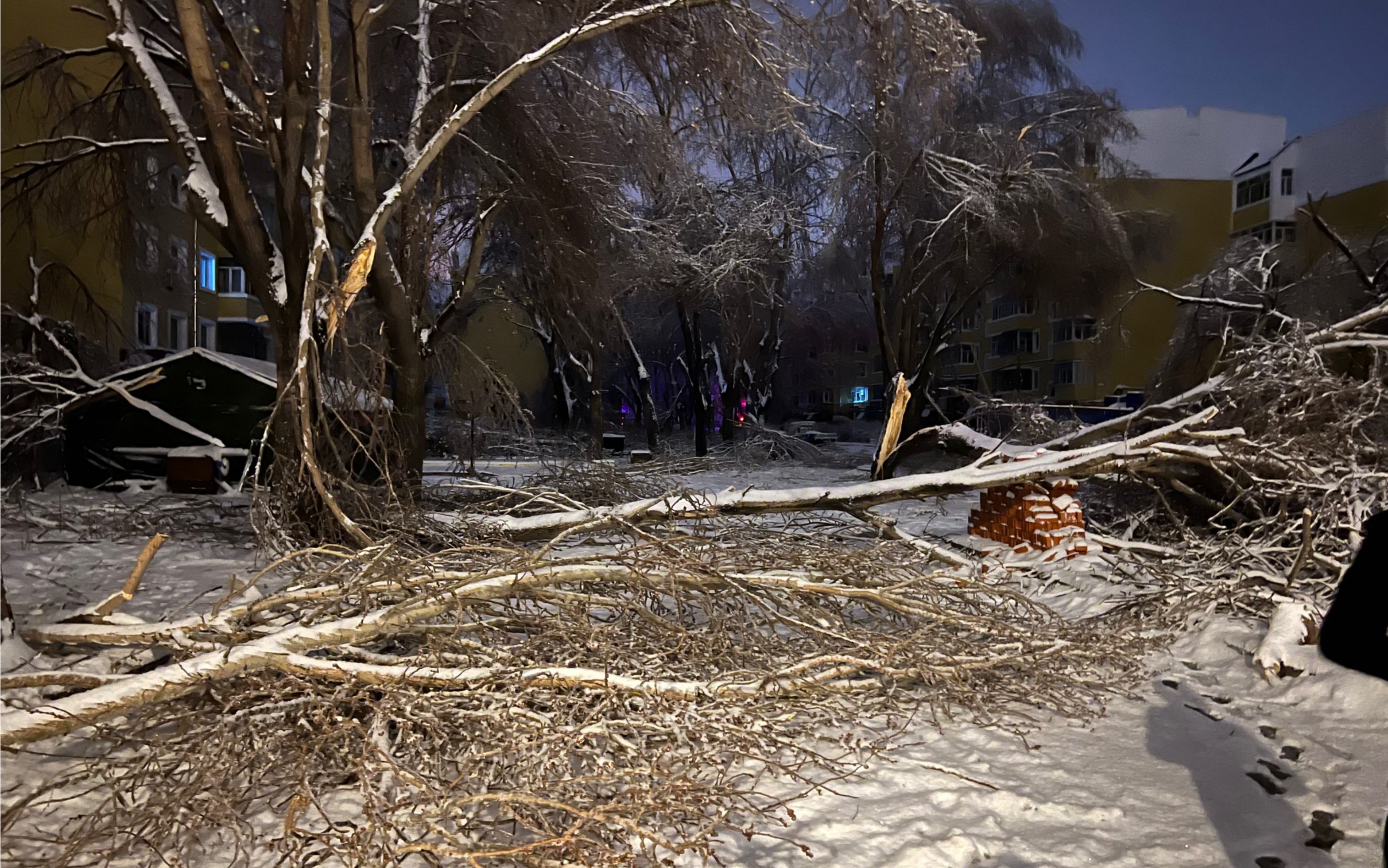 别人下雨哈尔滨下冻雨