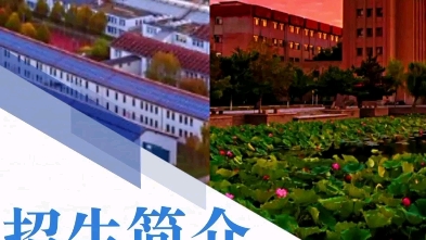 欢迎加入烟台大学特里尔可持续发展技术学院哔哩哔哩bilibili