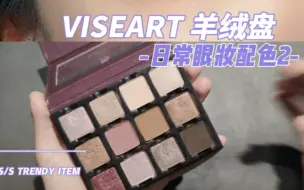 Download Video: viseart羊绒盘日常眼妆配色，大地色系的搭配