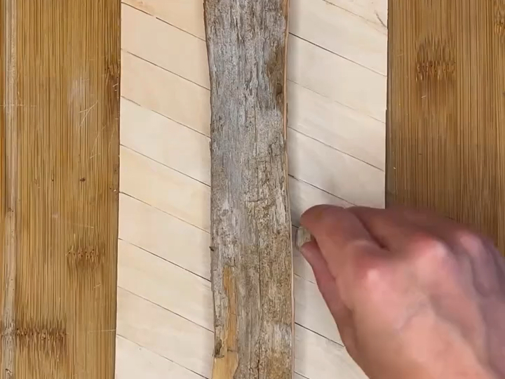 “杀死我的不是艺术，而是被人类定义的艺术。”