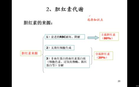 [图]北华大学临床检验诊断学 临床生物化学检验技术-黄疸