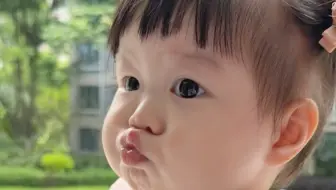 游乐园的猪