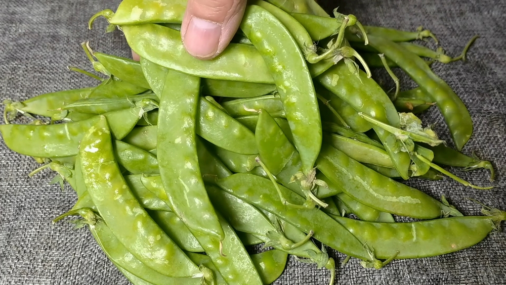 [图]炒荷兰豆不要直接下锅，多加2步，炒好的荷兰豆脆爽开胃，不发黑