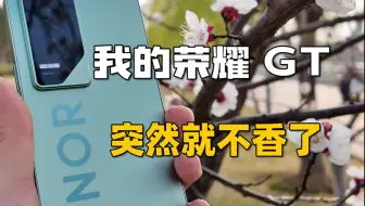 [闲聊]关于我想把荣耀 GT卖了换荣耀 GT Pro这件事